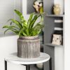Pottery 8" Alexander Ceramic Planter, Brown