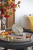 Set of 2, 7.7x3x7.3"H Resin Turkey with Pumpkin Rustic Finish, for Harvest Festival Fall Festival & Thanksgiving Table Decorations