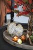 Set of 2, 7.7x3x7.3"H Resin Turkey with Pumpkin Rustic Finish, for Harvest Festival Fall Festival & Thanksgiving Table Decorations