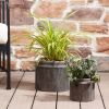 Pottery 8" Alexander Ceramic Planter, Brown